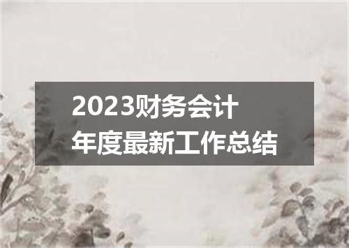 2023财务会计年度最新工作总结