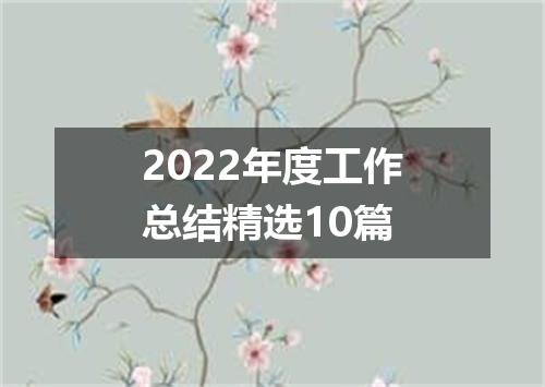 2022年度工作总结精选10篇