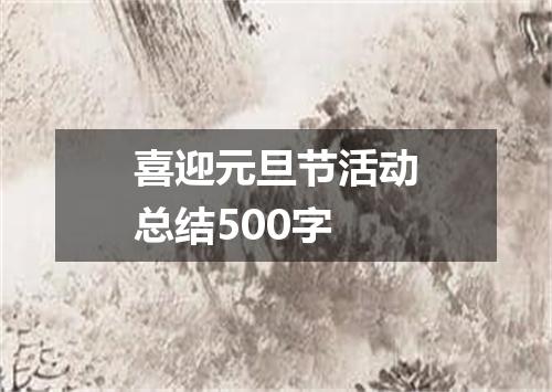 喜迎元旦节活动总结500字