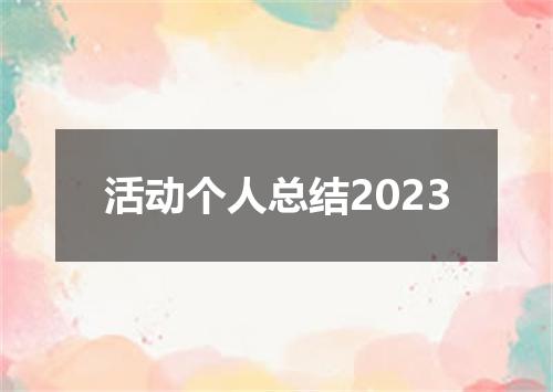活动个人总结2023