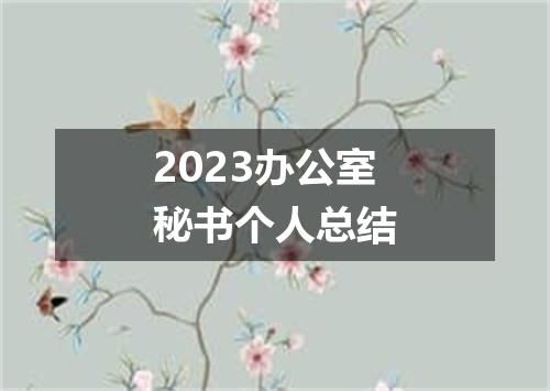 2023办公室秘书个人总结