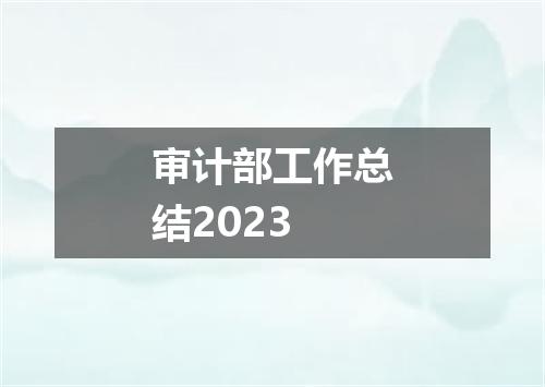 审计部工作总结2023
