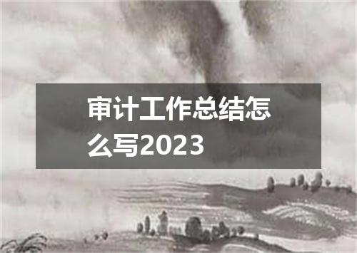 审计工作总结怎么写2023