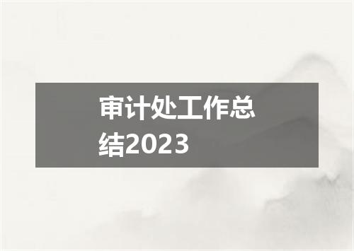 审计处工作总结2023