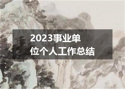 2023事业单位个人工作总结