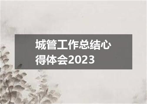 城管工作总结心得体会2023