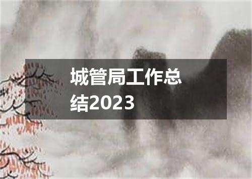 城管局工作总结2023
