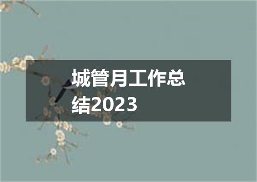 城管月工作总结2023