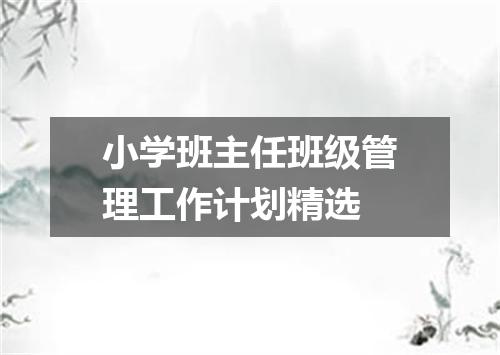 小学班主任班级管理工作计划精选