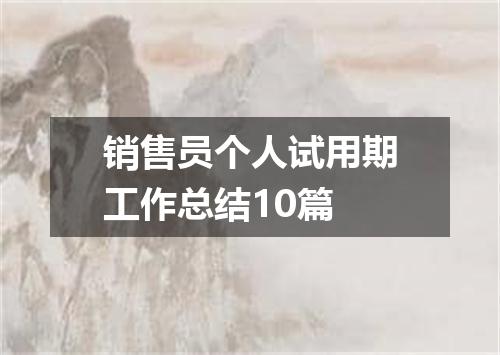 销售员个人试用期工作总结10篇