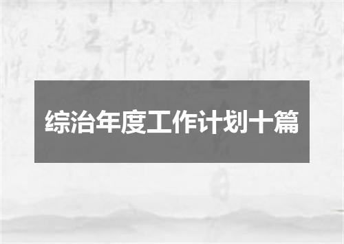 综治年度工作计划十篇