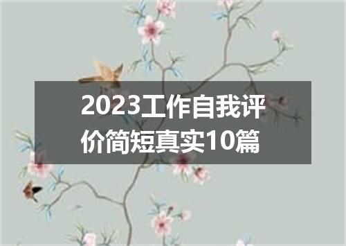 2023工作自我评价简短真实10篇