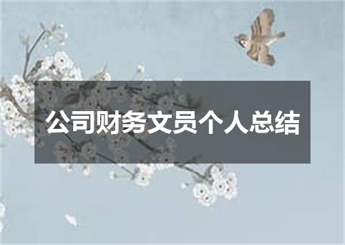 公司财务文员个人总结