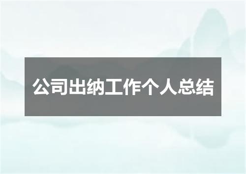 公司出纳工作个人总结