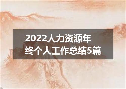 2022人力资源年终个人工作总结5篇