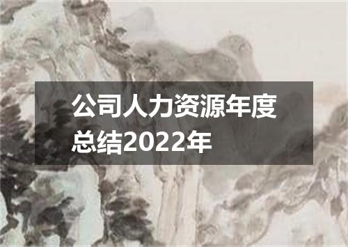 公司人力资源年度总结2022年