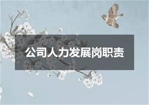 公司人力发展岗职责
