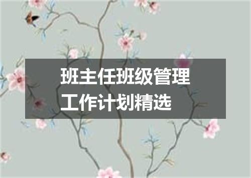 班主任班级管理工作计划精选