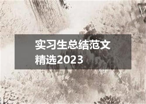 实习生总结范文精选2023