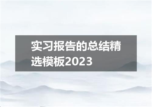 实习报告的总结精选模板2023
