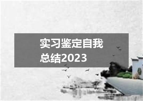 实习鉴定自我总结2023