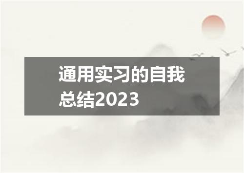 通用实习的自我总结2023