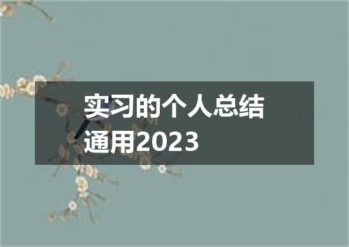 实习的个人总结通用2023