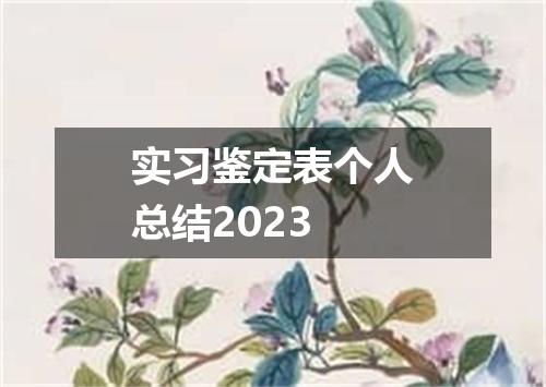 实习鉴定表个人总结2023