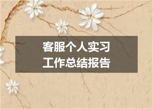 客服个人实习工作总结报告