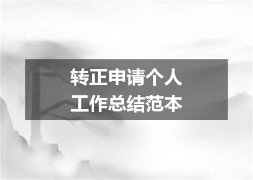 转正申请个人工作总结范本