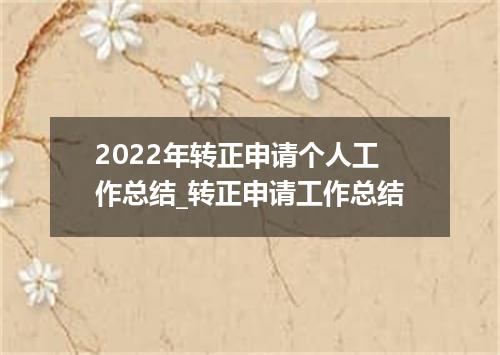 2022年转正申请个人工作总结_转正申请工作总结