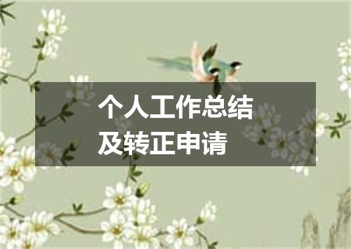 个人工作总结及转正申请
