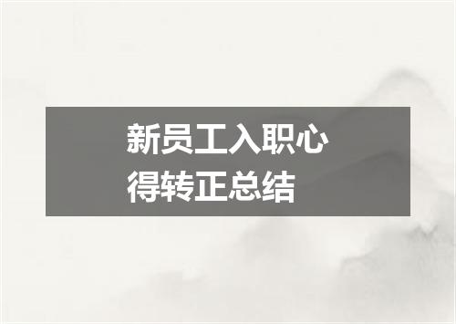 新员工入职心得转正总结