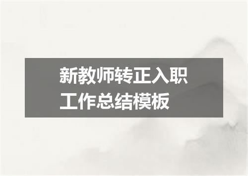 新教师转正入职工作总结模板