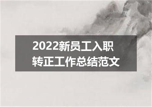 2022新员工入职转正工作总结范文