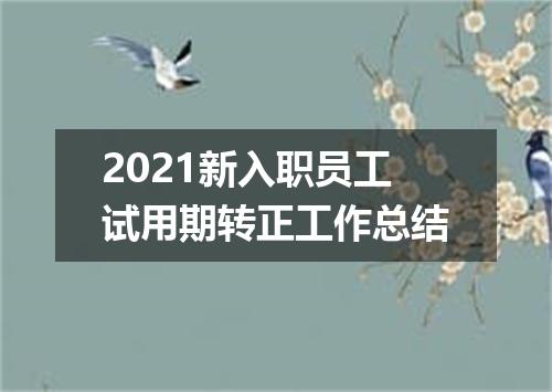 2021新入职员工试用期转正工作总结