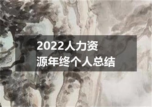 2022人力资源年终个人总结