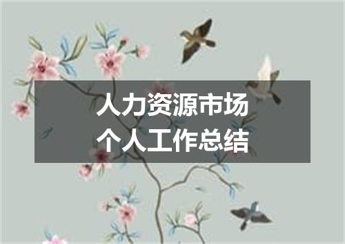 人力资源市场个人工作总结