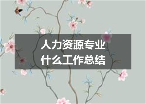 人力资源专业什么工作总结