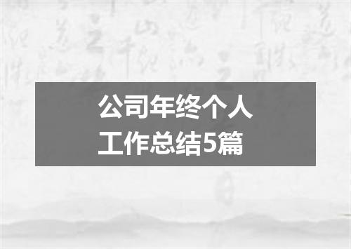 公司年终个人工作总结5篇
