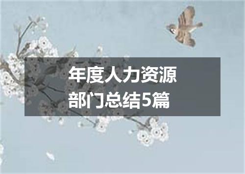 年度人力资源部门总结5篇