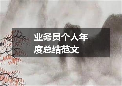 业务员个人年度总结范文