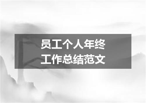 员工个人年终工作总结范文