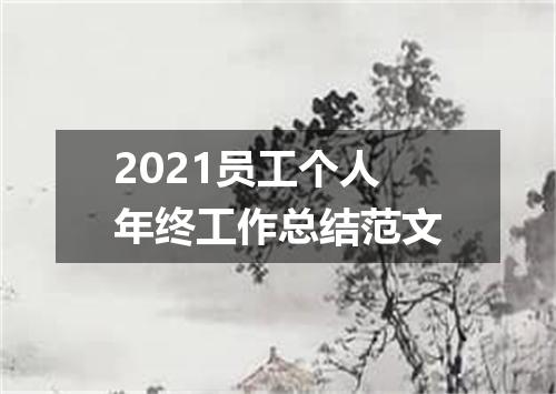 2021员工个人年终工作总结范文
