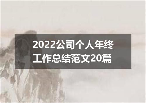 2022公司个人年终工作总结范文20篇