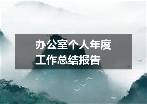 办公室个人年度工作总结报告