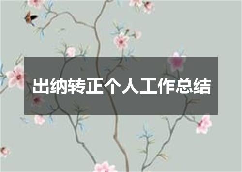 出纳转正个人工作总结