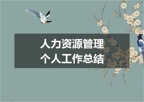 人力资源管理个人工作总结
