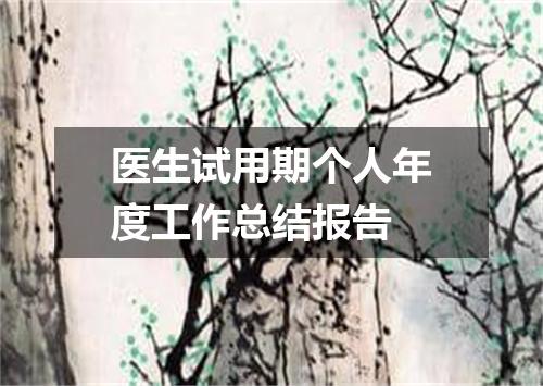 医生试用期个人年度工作总结报告