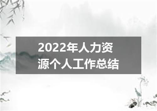 2022年人力资源个人工作总结